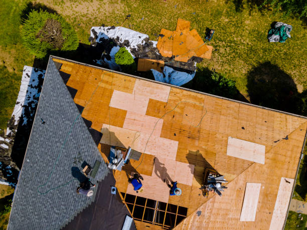 Best Roof Leak Repair  in Hamburg, AR