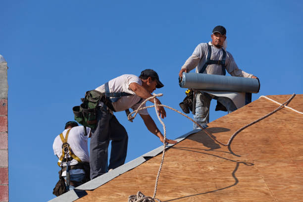 Best Gutter Installation and Roofing  in Hamburg, AR