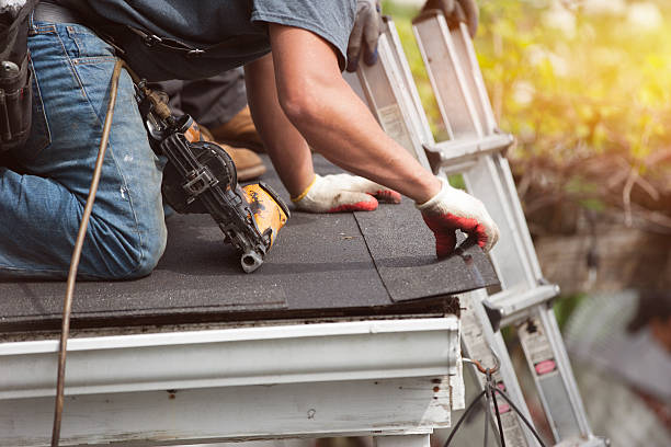 Best Storm Damage Roof Repair  in Hamburg, AR