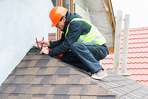 Best Roof Gutter Cleaning  in Hamburg, AR