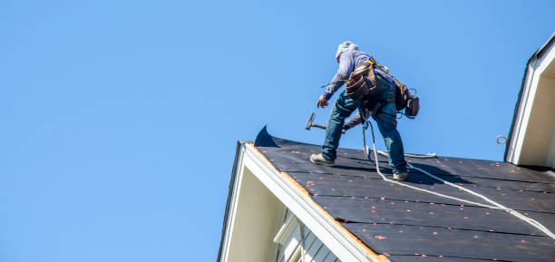 Best Roof Restoration Services  in Hamburg, AR